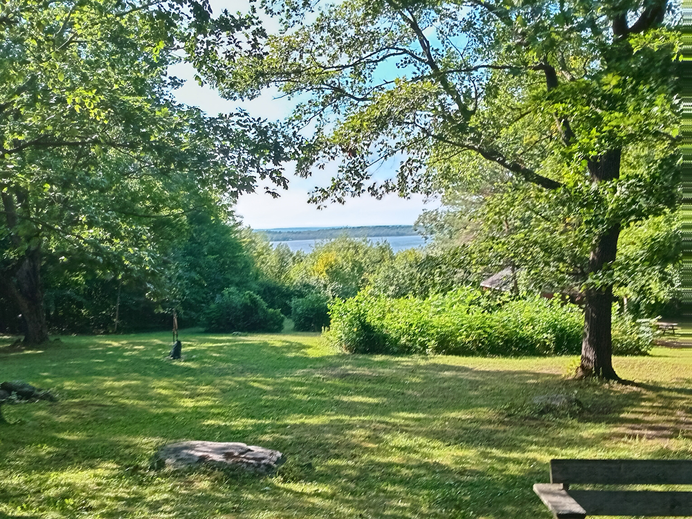 Green open field surrounded by tall trees, with a view of a distant lake under a bright blue sky on a sunny day.